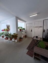 Blk 676C Park Grove @ Yishun (Yishun), HDB 5 Rooms #468846261